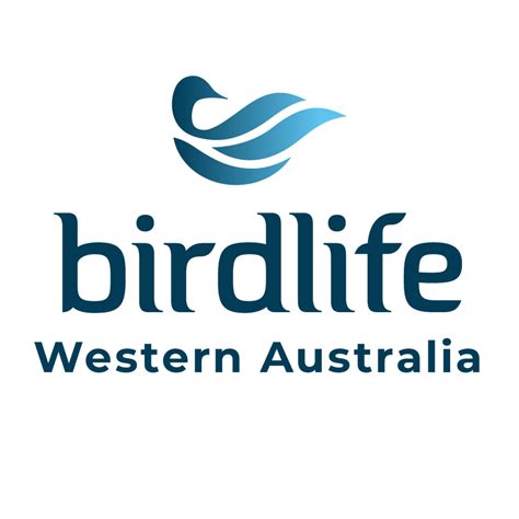 Image result for Diary Entry Examples