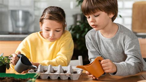 Fast Growing Plants For Science Projects: Exploring Nature's ...