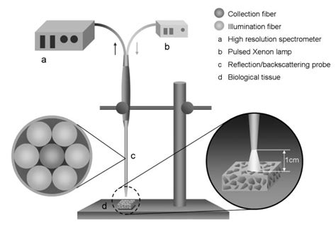 Image result for Diffuse Reflection Labelled Diagram