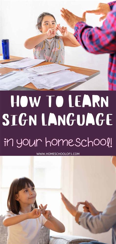 Learn Sign Language に対する画像結果