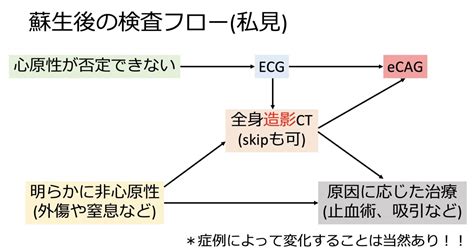 Rosc Algorithm に対する画像結果