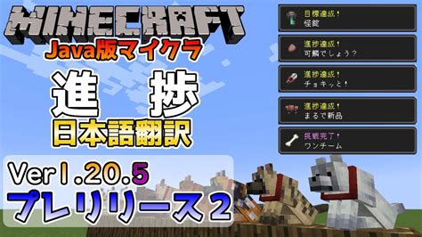 Minecraft Java Kaaps に対する画像結果