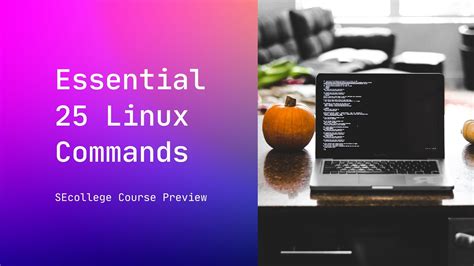 Linux Commands に対する画像結果