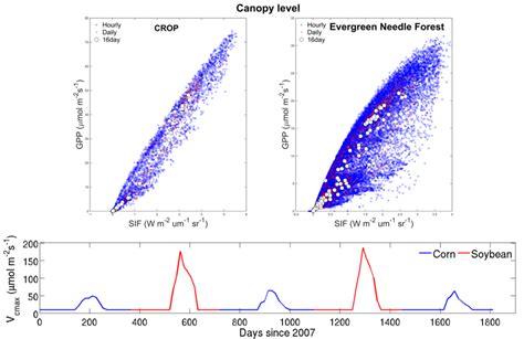 Afbeeldingsresultaten voor Process Based Modeling