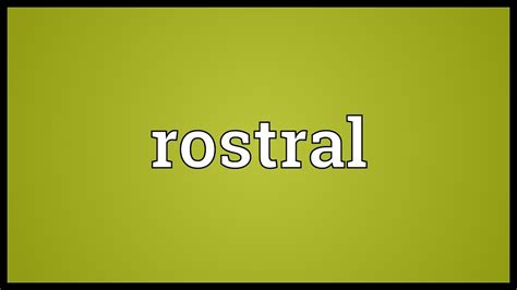 Image result for Rostral Dex