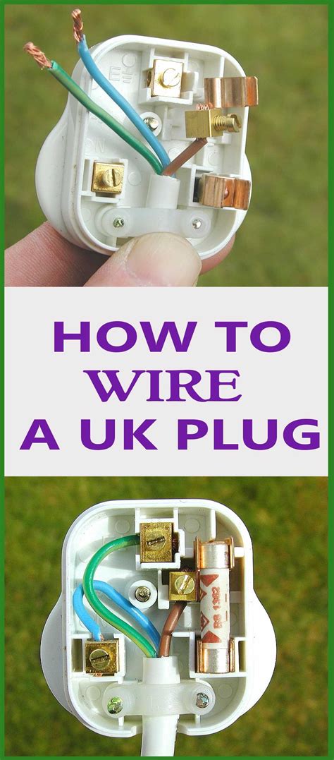 Image result for Adding a Plug Socket NZ