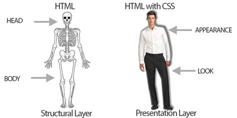 Image result for HTML VA CSS