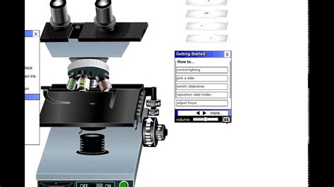 Image result for Microscope Intruductory Lab