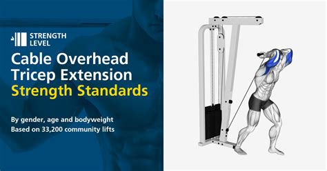 Cable Overhead Extension Cable Overhead Tricep Extension StraighT Bar