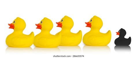 Image result for Different Project Life Cycle Models