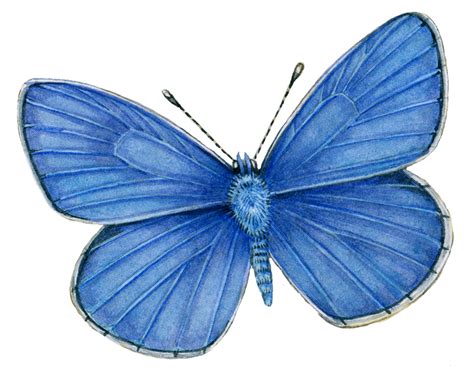 Image result for Common Programming Paradigms