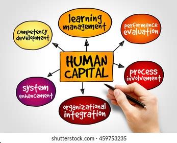 Image result for Human Resources Competency Model