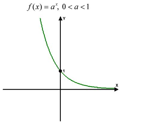 Image result for 4 Types of Exponential Graphs