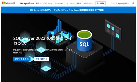 MS SQL Server に対する画像結果