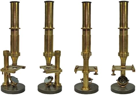 Image result for 1886 Modern Compound Light Microscope