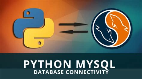 Bildergebnis für Python MySQL Database