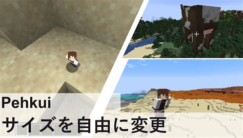 Image result for Minecraft Micro Mod