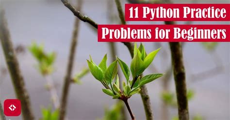 Toradh íomhá ar Python Problems for Beginners