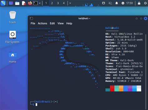 Image result for Kali Linux GUI