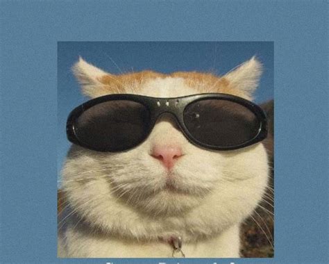 Image result for Fun QR-Codes