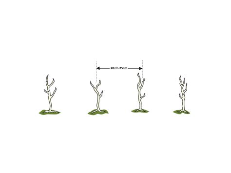 Image result for Typical Native Hedge Planting Plan