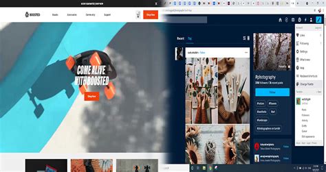 Examples of Web Interface に対する画像結果
