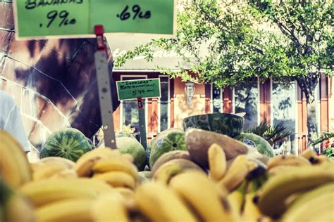 Image result for Springtime Photography