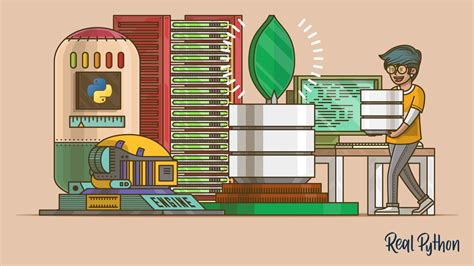 MongoDB Python Program に対する画像結果