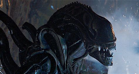 Image result for Alien Xenomorph Teath