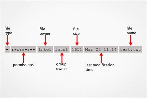 Image result for Linux Permissions Explained