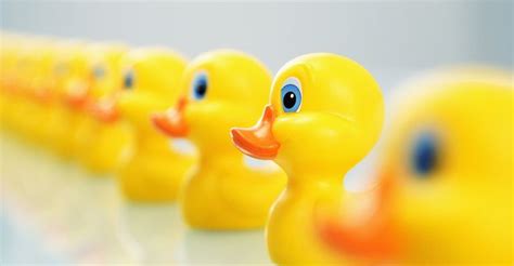 Image result for Different Project Life Cycle Models