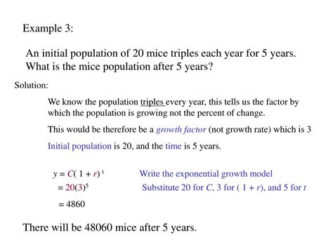 Image result for Cat Exponential Growth Function Model