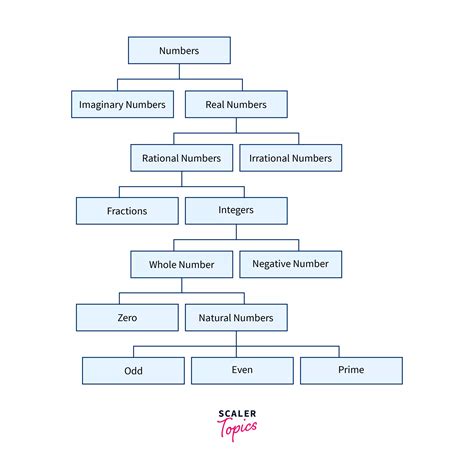 Image result for Types OS Numbers
