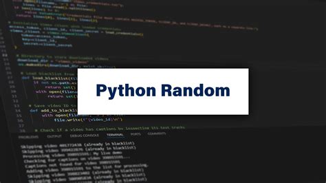 Random in Python に対する画像結果