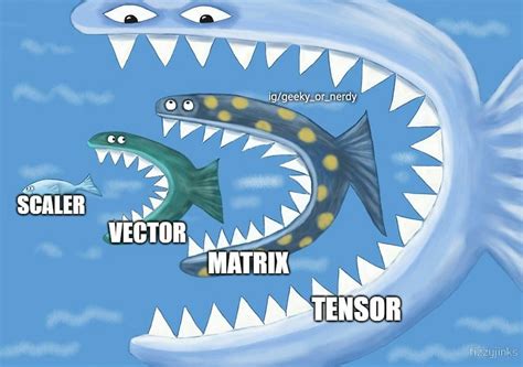 Toradh íomhá ar Tensor vs Matrix