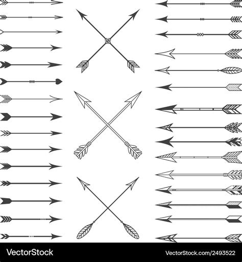 Vector Arrow Plot に対する画像結果