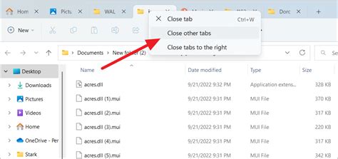 Image result for Windows 11 New File Explorer Tabs