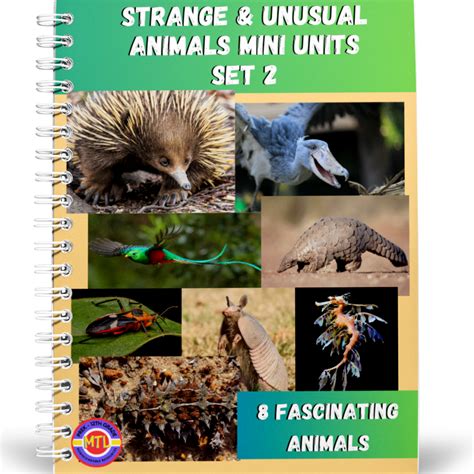 Image result for Informational Text About Animals