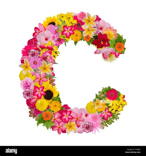 Image result for Letter C Bloemen
