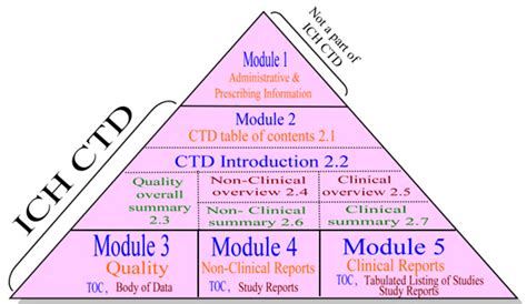 Toradh íomhá ar Module 2 of Dossier PDF
