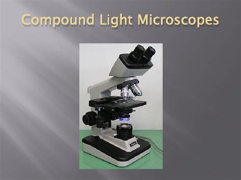 Image result for Compound Light Microscope Arm