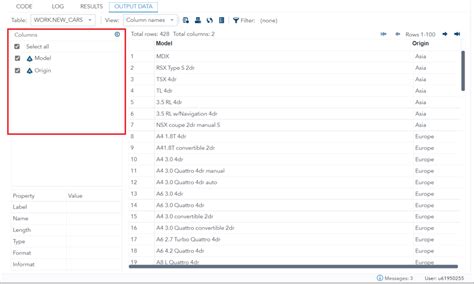 Image result for SAS Data Set Example