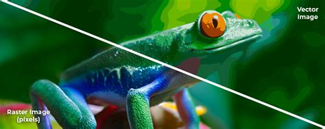 What Is a Vector File に対する画像結果