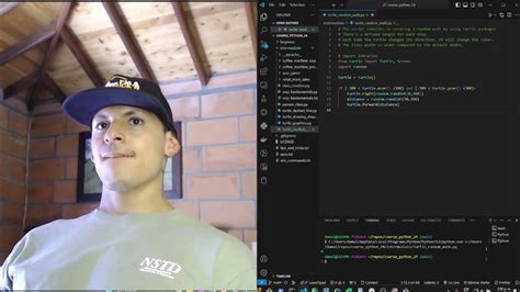 Image result for Python Turtle Random Walk Programming