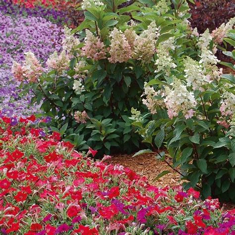 Toradh íomhá ar Spring Planting Plan Layered