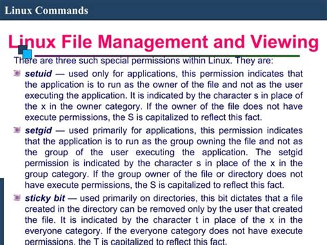 Image result for Executing Command in Linux Program Example in Which Commans Are Executd