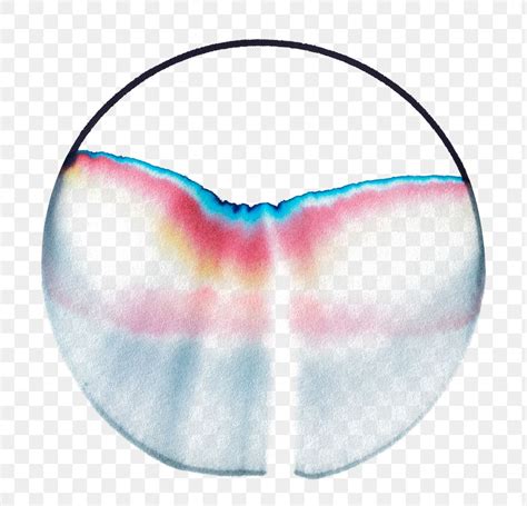 Image result for Abstract Vector Black PNG