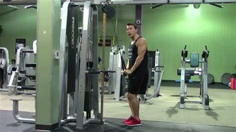 Cable Tricep Exercises に対する画像結果