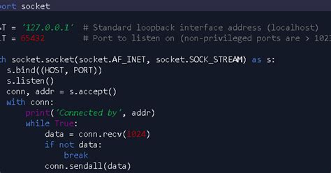 Image result for Python TCP IP Tutorial