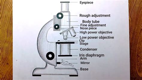 Afbeeldingsresultaten voor Compound Light Microscope Draw Tube